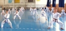 GASSHUKU (HU) 2014-67