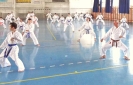 GASSHUKU (HU) 2014-68