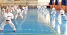GASSHUKU (HU) 2014-70