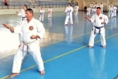 GASSHUKU (HU) 2014-71