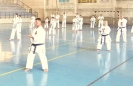 GASSHUKU (HU) 2014-72