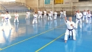 GASSHUKU (HU) 2014-73