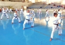 GASSHUKU (HU) 2014-75