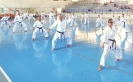 GASSHUKU (HU) 2014-76