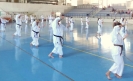 GASSHUKU (HU) 2014-77