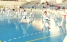 GASSHUKU (HU) 2014-78