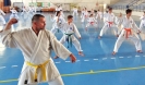 GASSHUKU (HU) 2014-79