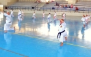 GASSHUKU (HU) 2014-80