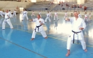 GASSHUKU (HU) 2014-81