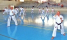 GASSHUKU (HU) 2014-82