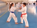 GASSHUKU (HU) 2014-91