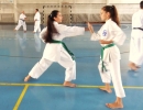 GASSHUKU (HU) 2014-98