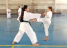 GASSHUKU (HU) 2014-99