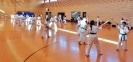 Ludwigsburg 2014