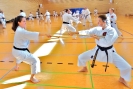 Ludwigsburg 2014