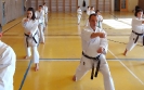 Lausanne 2015