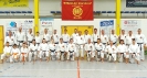 Hotton 2015-54