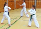 SpringCamp 2015-112
