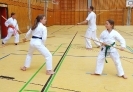 SpringCamp 2015-114