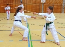 SpringCamp 2015-116