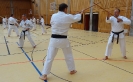 SpringCamp 2015-126