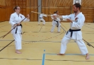 SpringCamp 2015-127