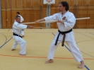 SpringCamp 2015-130
