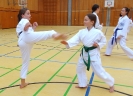 SpringCamp 2015-14