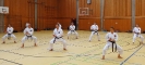 SpringCamp 2015-157