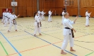 SpringCamp 2015-166