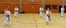 SpringCamp 2015-170