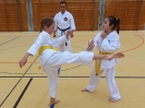 SpringCamp 2015-19