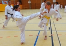 SpringCamp 2015-21