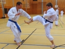 SpringCamp 2015-29