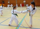 SpringCamp 2015-37