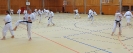 SpringCamp 2015-41