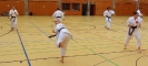 SpringCamp 2015-43