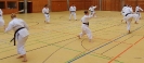 SpringCamp 2015-45