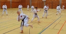 SpringCamp 2015-47
