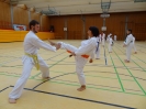 SpringCamp 2015-6