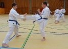 SpringCamp 2015-7