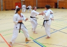 SpringCamp 2015-99