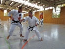 Marbach(D) 2015-53