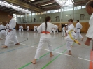Marbach(D) 2015-64