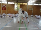 Marbach(D) 2015-79