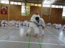 Marbach(D) 2015-80