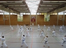 Marbach(D) 2015-81