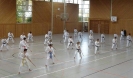 Marbach(D) 2015-85