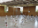 Marbach(D) 2015-87