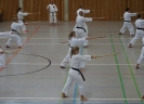 Marbach(D) 2015-94